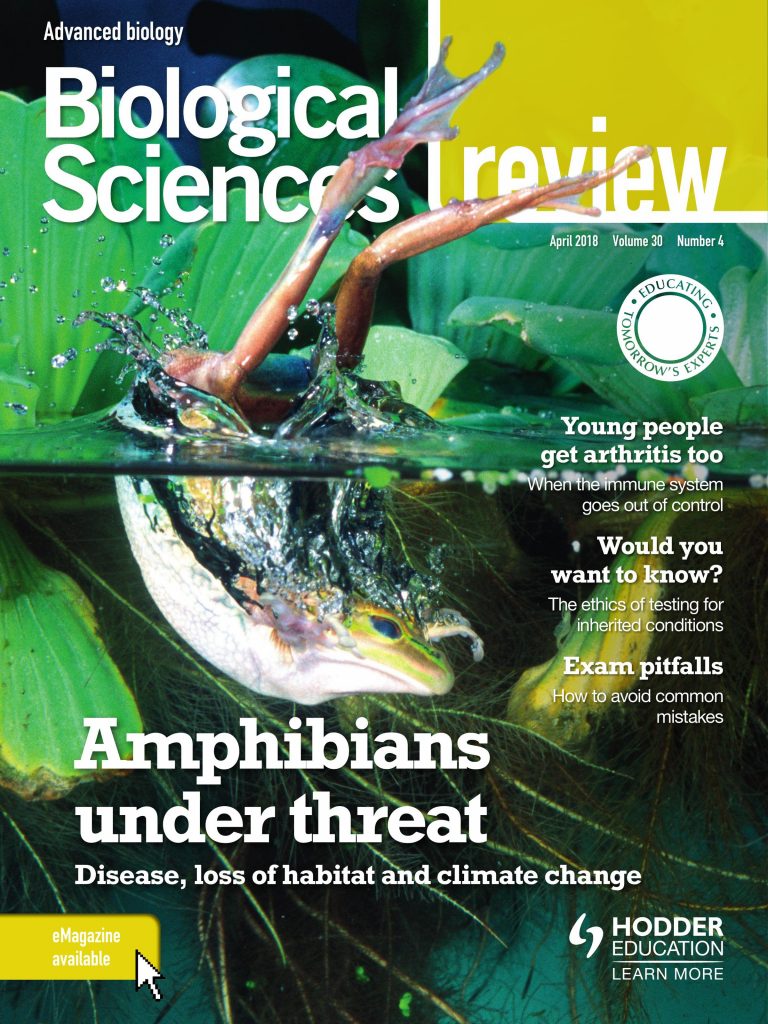 Biological Sciences Review Archives - Hachette Learning Magazines